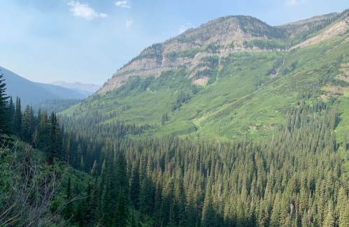 Lush green mountains rise above a dense forest, with a clear blue sky and distant peaks in the background.