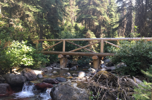 A wooden bridge spans a small stream, surrounded by lush greenery and tall trees in a serene forest setting.