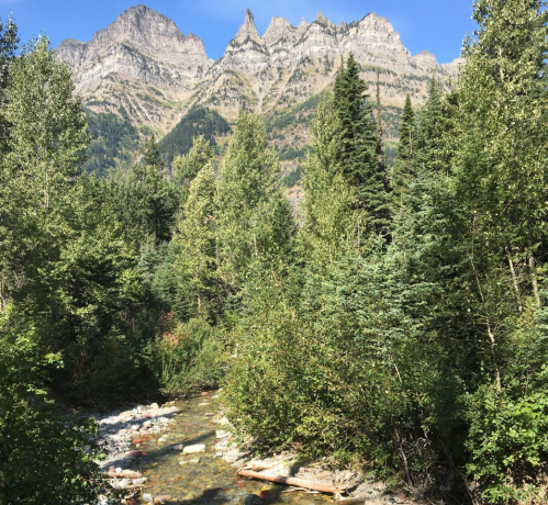 A serene landscape featuring a clear stream surrounded by lush trees and towering mountains in the background.