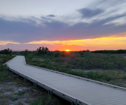 A wooden boardwalk leads through greenery towards a vibrant sunset in the background.