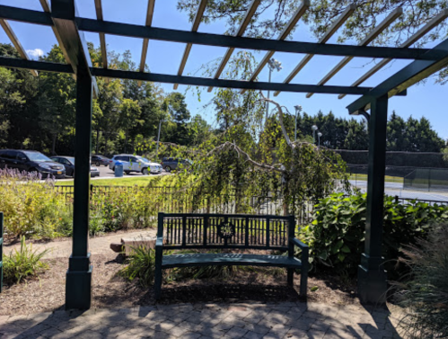 A shaded bench under a pergola, surrounded by greenery and a view of parked cars and a tennis court in the background.