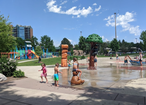 Children play in a splash pad area with a tree fountain and a bear statue, surrounded by a playground and greenery.