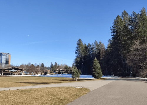 A clear blue sky over a park with a path, trees, and a snow-covered area in the background.