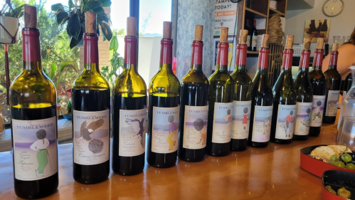 A row of wine bottles with colorful labels, displayed on a wooden table near a window with plants.