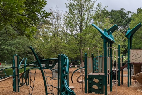A playground with climbing structures and slides, surrounded by trees and a cloudy sky.