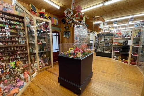 A colorful toy museum interior featuring display cases filled with various vintage toys and collectibles.