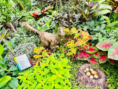 A dinosaur sculpture among vibrant plants, with a sign and a nest of eggs nearby in a lush garden setting.