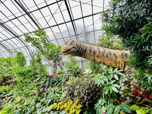 A lifelike dinosaur sculpture among lush greenery in a greenhouse setting.