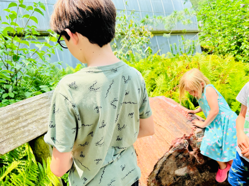 A boy in a green shirt stands near a sign, while a girl in a blue dress explores a rock in a lush garden.