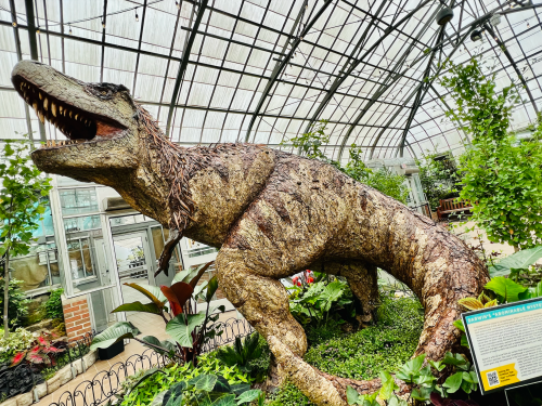 A large dinosaur sculpture made of natural materials, surrounded by lush greenery in a greenhouse setting.