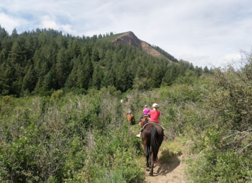 Two riders on horseback navigate a wooded trail with a mountain in the background under a cloudy sky.