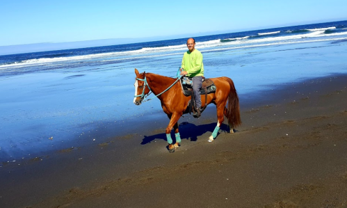 A person in a bright green shirt rides a brown horse along a sandy beach with ocean waves in the background.