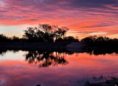 A serene sunset over a calm lake, with vibrant pink and purple hues reflecting on the water and silhouetted trees.