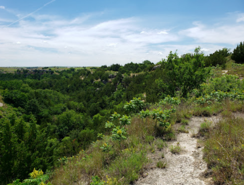 A scenic view of a lush green valley surrounded by trees under a bright blue sky with scattered clouds.