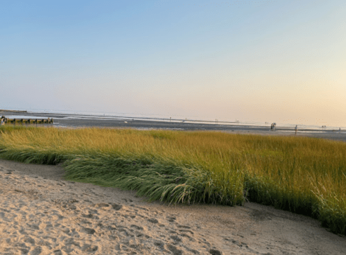 A serene beach scene at sunset, featuring tall grass, sandy shore, and distant figures walking along the water.