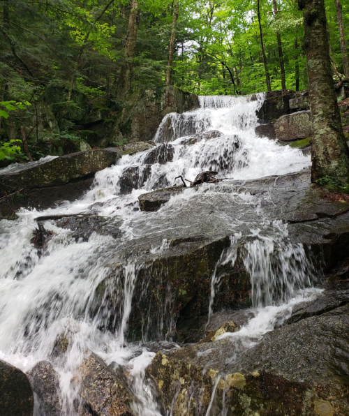 A cascading waterfall flows over rocky terrain, surrounded by lush green trees in a serene forest setting.
