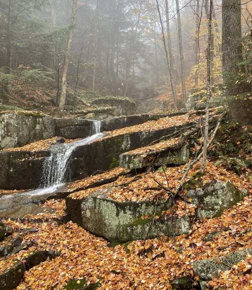 A serene forest scene with a small waterfall cascading over mossy rocks, surrounded by autumn leaves and fog.