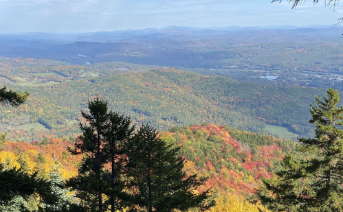 A panoramic view of rolling hills covered in vibrant autumn foliage under a clear blue sky.