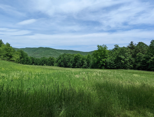 A lush green field stretches towards rolling hills under a blue sky with wispy clouds. Trees line the horizon.