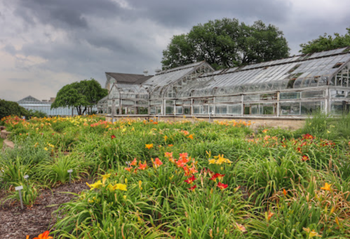 A greenhouse surrounded by vibrant flowers under a cloudy sky.