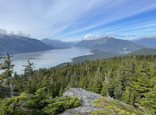 A panoramic view of a river winding through mountains, surrounded by lush green forests and a blue sky with clouds.