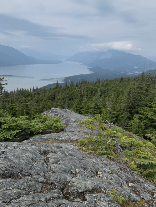 A rocky outcrop overlooks a lush green forest and a serene lake surrounded by mountains under a cloudy sky.