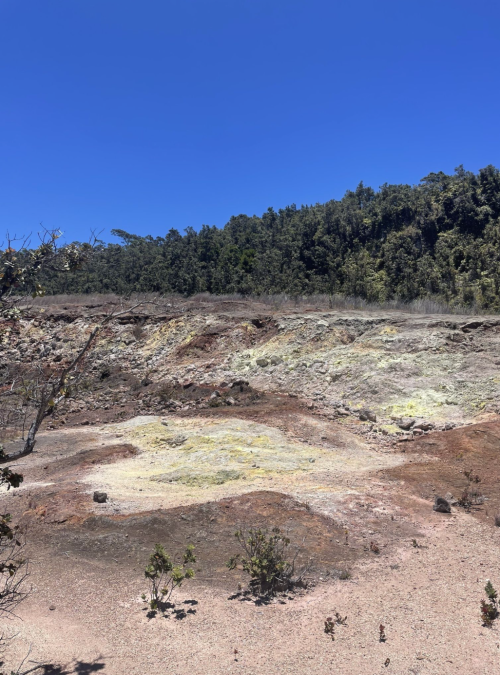 A barren landscape with rocky terrain, sparse vegetation, and a clear blue sky above a forested area in the background.
