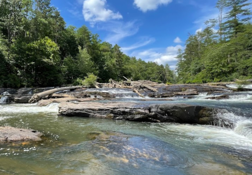 A serene river flows over rocky terrain, surrounded by lush green trees and a bright blue sky with fluffy clouds.