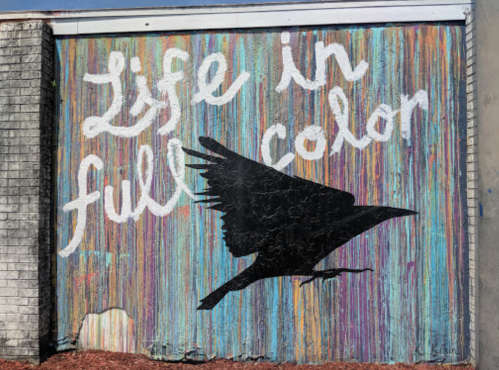 A vibrant mural featuring the phrase "Life in full color" and a silhouette of a bird against a colorful background.