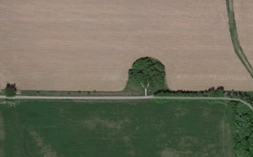 Aerial view of a rural landscape featuring a curved tree line along a road, surrounded by fields of varying colors.