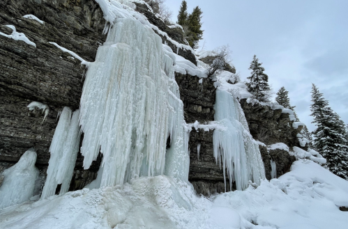 Icicles hang from a rocky cliff, surrounded by snow and evergreen trees under a cloudy sky.