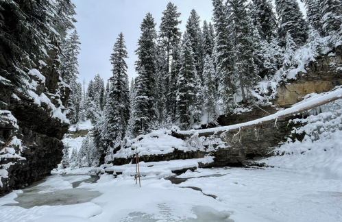 A snowy landscape with tall evergreen trees, rocky cliffs, and a frozen river in a serene winter setting.