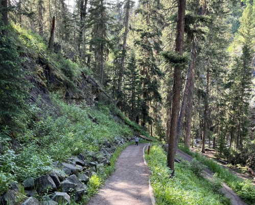 A winding path through a lush forest, with tall trees and greenery lining the sides. Two people walk in the distance.