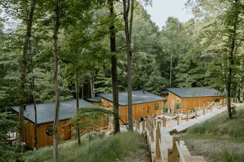 Three wooden cabins nestled in a lush green forest, connected by a winding wooden path.