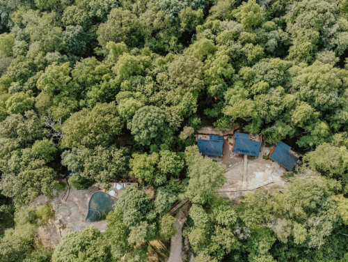 Aerial view of a forested area with several small buildings and a pool nestled among the trees.