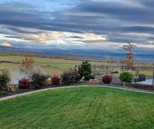 A scenic view of a grassy yard with colorful shrubs, a fence, and a cloudy sky over distant mountains.