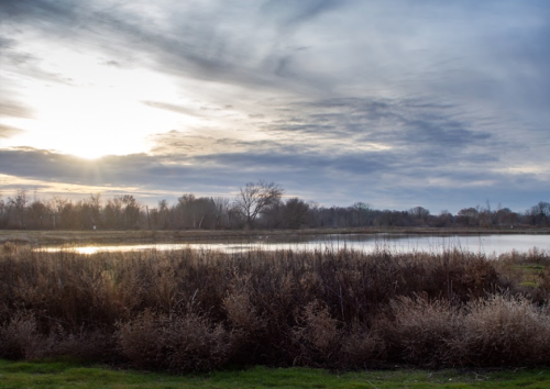 A serene landscape featuring a calm lake surrounded by bare shrubs and trees under a cloudy sky at sunset.