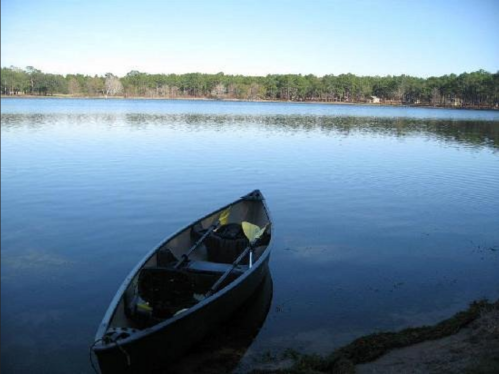 A calm lake with a canoe resting on the shore, surrounded by trees and clear blue skies.