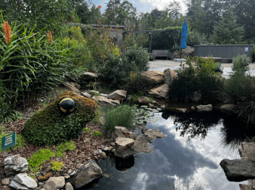 A serene garden scene featuring a pond, rocks, lush greenery, and a decorative frog statue.