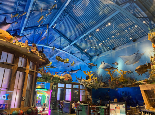 Colorful marine-themed decor with fish and rays on the walls of an aquarium-like space, featuring a blue ceiling.