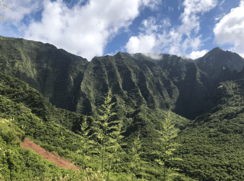 Lush green mountains with steep ridges under a partly cloudy sky, showcasing a vibrant natural landscape.