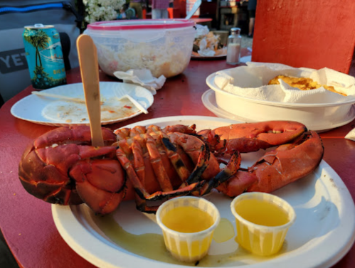 A plate with a cooked lobster, two cups of melted butter, and a casual dining setting in the background.