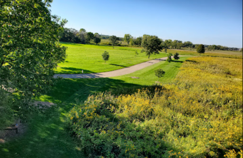 A scenic view of a green park with a winding path, trees, and fields of yellow flowers under a clear blue sky.