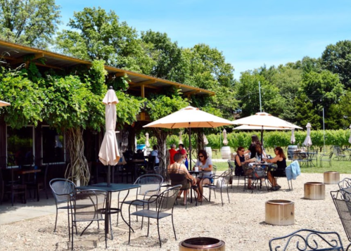 A sunny outdoor café with patrons sitting under umbrellas, surrounded by greenery and vineyard views.