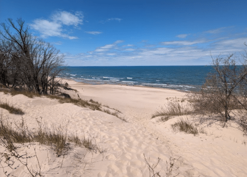 A sandy beach with gentle waves, framed by sparse trees and a clear blue sky with scattered clouds.