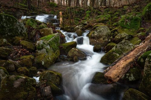 A serene stream flows over moss-covered rocks in a tranquil forest setting.