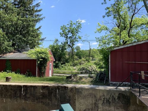 A sunny landscape featuring a red barn, green trees, and a clear blue sky, with a path visible in the background.