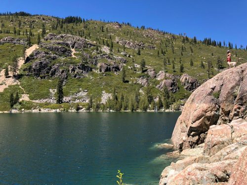 A person stands on a rock by a serene lake, surrounded by lush green hills and clear blue skies.