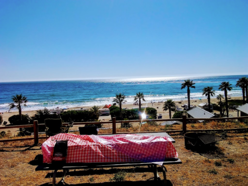 A picnic table with a red checkered tablecloth overlooks a sunny beach and ocean, with palm trees in the background.