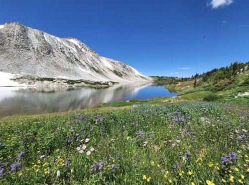 A serene mountain landscape with a clear lake, surrounded by vibrant wildflowers and lush greenery under a blue sky.